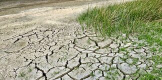 Siccità: la situazione rimane preoccupante, anche in vista della stagione irrigua Ponente Ligure, Magra, Toscana Nord e costa livornese le aree più critiche