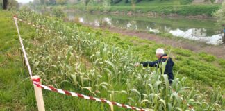 L’Arno a Firenze al centro di un originale progetto per il monitoraggio e mitigazione dei cambiamenti climatici