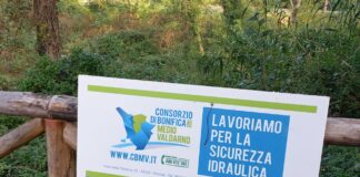 Poggibonsi: lavori forestali lungo lo Staggia e il Carfini