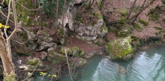 Colle Val D’Elsa: interventi forestali del Consorzio di Bonifica lungo i sentieri del Parco Fluviale