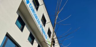 8 nuovi alberi per l’8 marzo del Consorzio di Bonifica Medio Valdarno