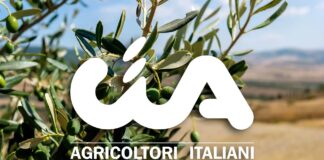 Acqua: una risorsa essenziale per il futuro dell’agricoltura toscana