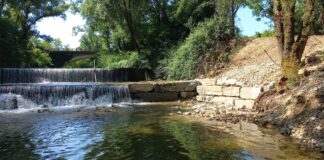Torrente Pesa: le cure del Consorzio di Bonifica tra Chianti Fiorentino e Valdelsa