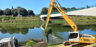Alga alligatore in Arno a Firenze: intervento del Consorzio di Bonifica Medio Valdarno