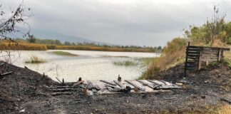 Incendi nell’area protetta “Podere la Querciola”: solidarietà dal Consorzio di Bonifica